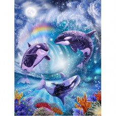 STEVE SUNDRAM GREETING CARD Orca Dance